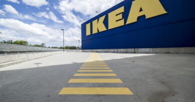 Ikea : comment le géant suédois bat des records malgré la crise? 